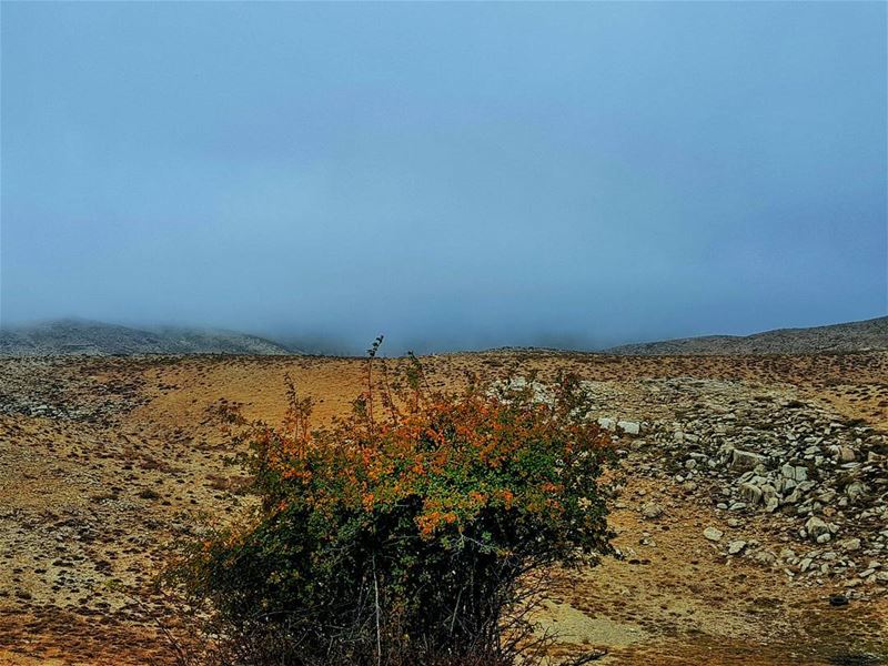  kfardebian  lebanon ... (Kfardebian,Mount Lebanon,Lebanon)