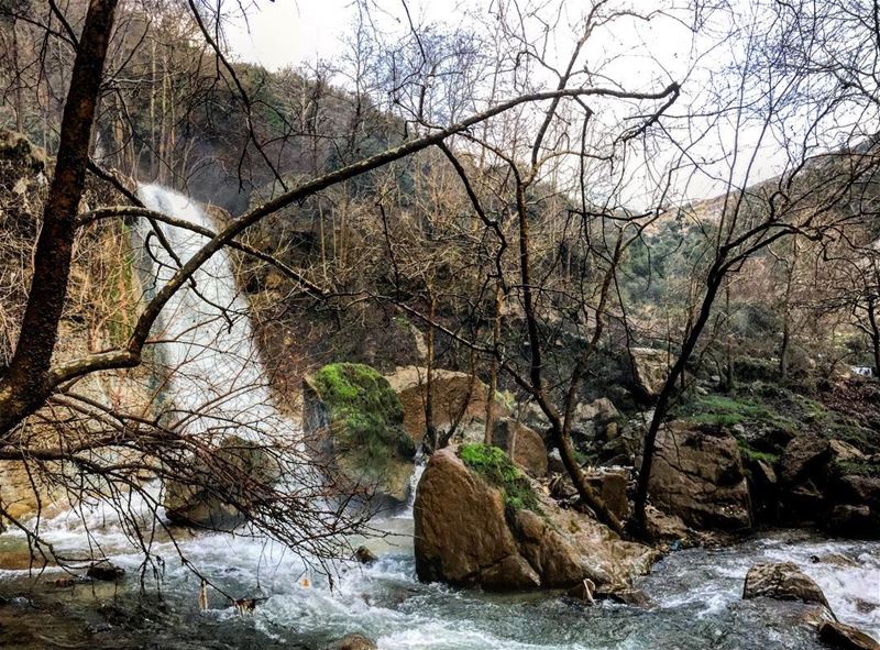 kfarhalda waterfall 🇱🇧 from today's roadtrip .. 🇱🇧🗻 hiking  camping ... (Kfarhilda, North)