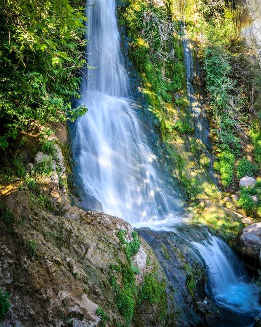 .Kfarhelda | The waterfall. An amazing place in the north of Lebanon!... (Kfarhilda, North)