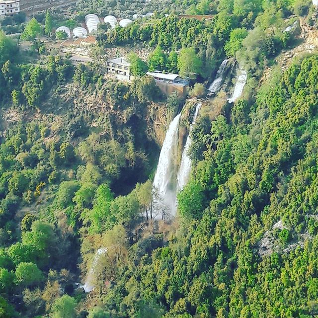 💚  Kfarhilda  LiveLoveTannourine  LiveLoveBatroun  LiveLoveWaterfalls ... (Kfarhilda, North)