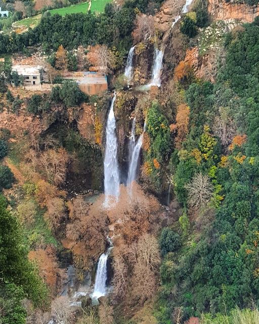 Kfarhilda now 💕.🌲🌲🌲🌲🌲🌲🌲🌲🌲🌲🌲🌲🌲🌲.Photo credit @camilleatti (Bsatin Al-Ossi Waterfalls)