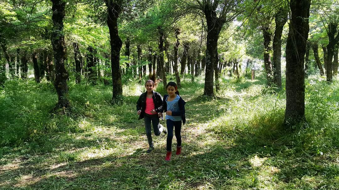  kids  kidsmood  ig_lebanon  igers  instagramers  livefreerunfar  woods  ... (Deïr Taanâyel, Béqaa, Lebanon)