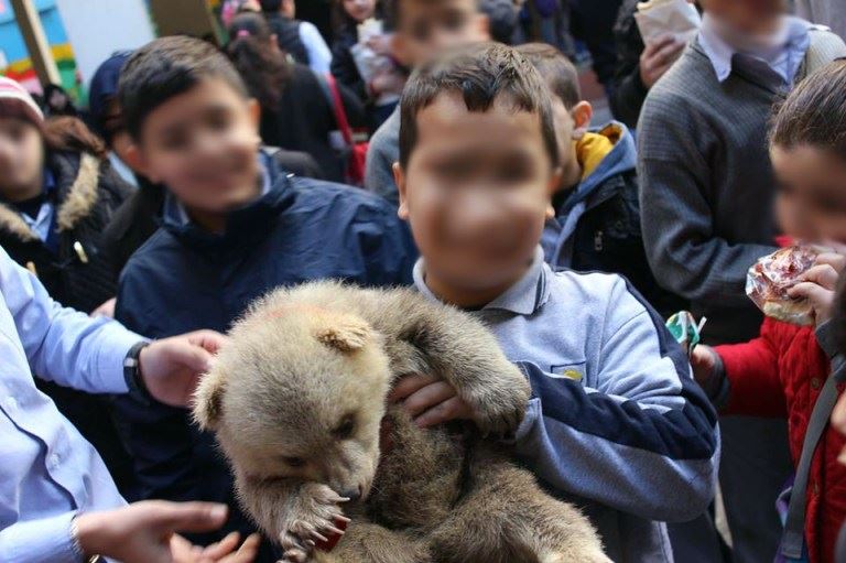 Kids Playing with Bears in a School in Lebanon