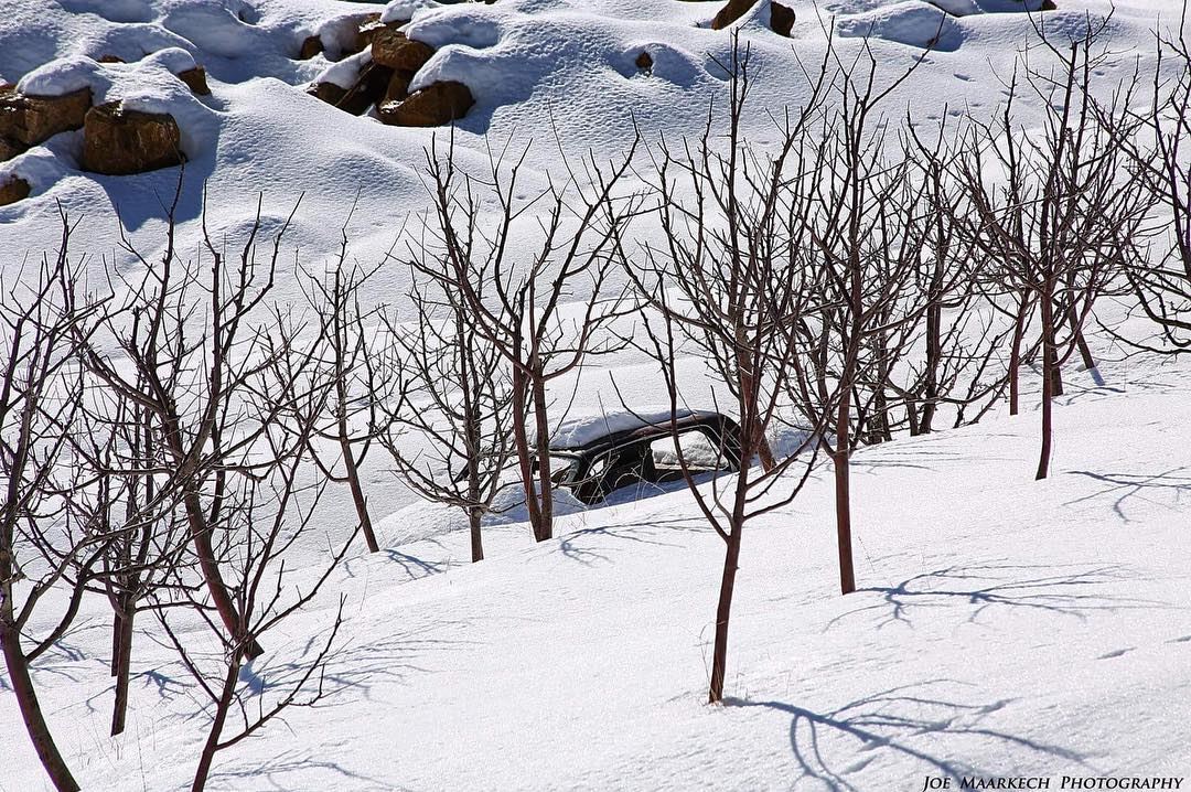Kindness is like snow! It beautifies everything it covers.  snow  car ... (Baskinta, Lebanon)