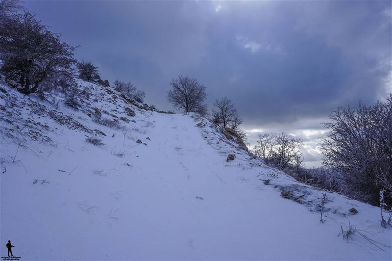 Kindness is like snow…It beautifies everything it covers… snow  shouf ... (Chouf)