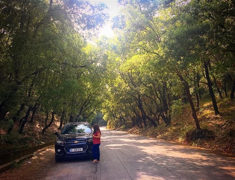 “Knowing trees, I understand the meaning of patience. Knowing grass, I can... (Hamâte, Liban-Nord, Lebanon)