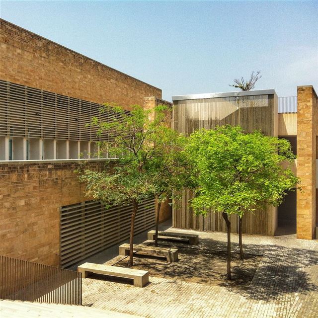 "Knowledge is the key to freedom"  aub  beirut  love  lebanon ... (American University of Beirut (AUB))