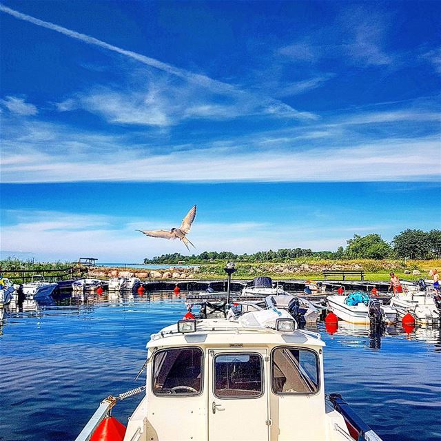 Köpingsvik Öland igsweden  ig_lebanon  öbilden  rebel_scapes  bns_sunset ... (köpingsvik Dalunda)