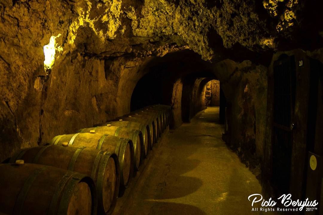 Ksara Winery..  lebanese  ksara  wine  winery  livelovelebanon  igers ...