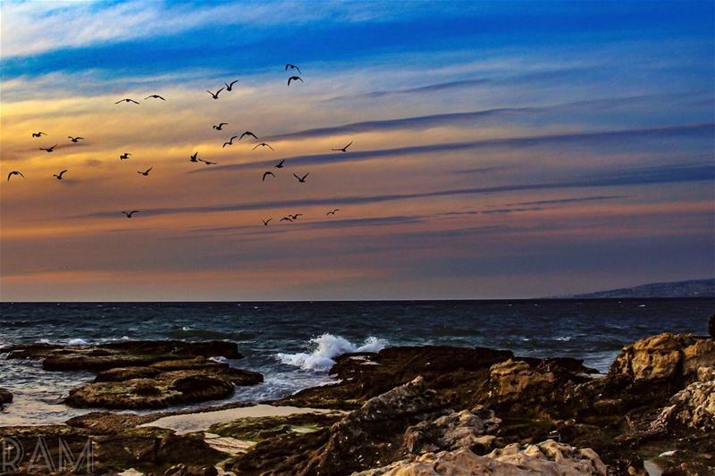 L'amour a son instinct.. il sait trouver le chemin du cœur.... (Al Mina', Liban-Nord, Lebanon)