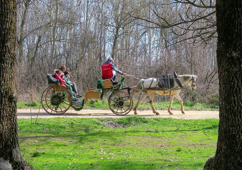 La caravane passe 🚙🐎👨‍👩‍👧‍👧 horse  family  ride  caravane  outdoors... (Deïr Taanâyel, Béqaa, Lebanon)