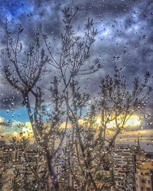 La clémence ne se commande pas. Elle tombe du ciel comme une pluie douce... (Beirut, Lebanon)