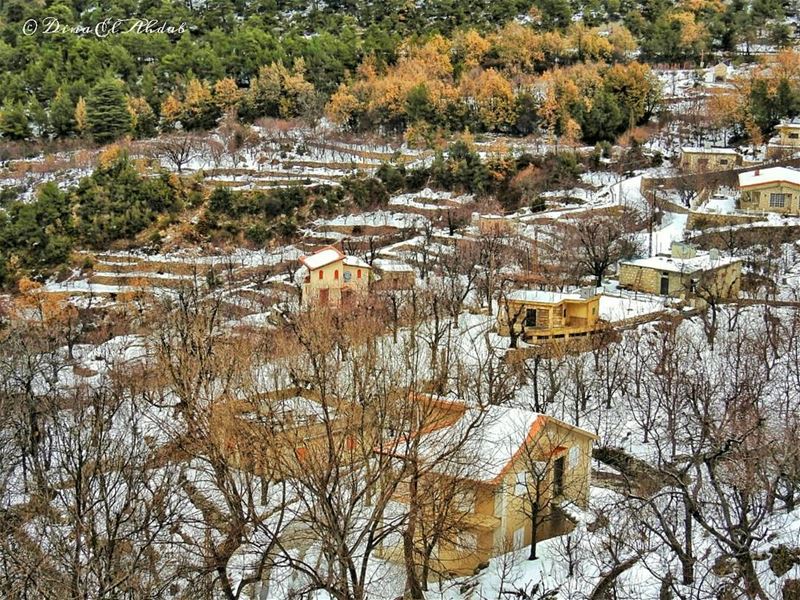 La pleine s'endort, les bêtes se cachent et les fenêtres ferment encore... (Ehden, Lebanon)