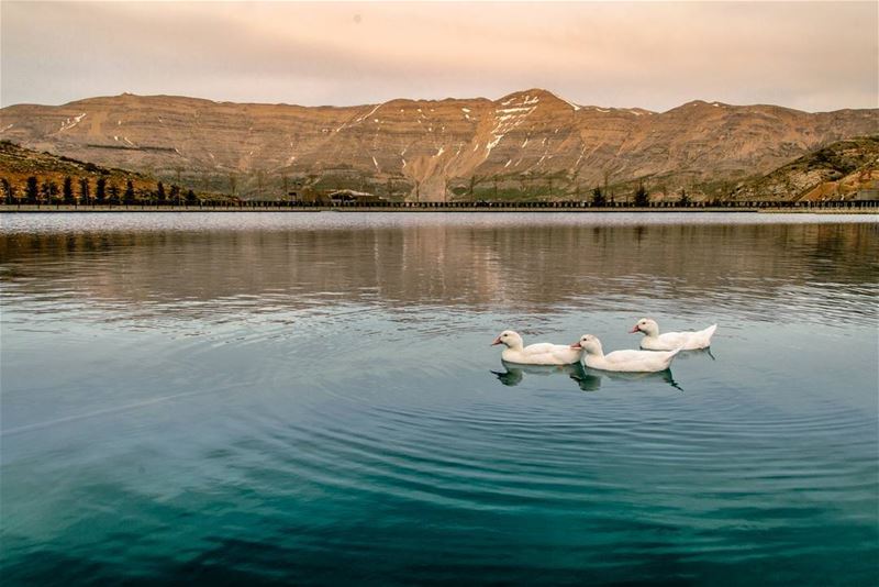 🗻🗻..... lagoon lake mountains landscape landscapephotography... (Zaarour Club)