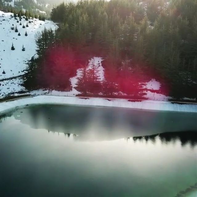 💚... Lake  frozenlake  forests  snow  mountain  peak  hiking  dji ... (Arz el Bâroûk)