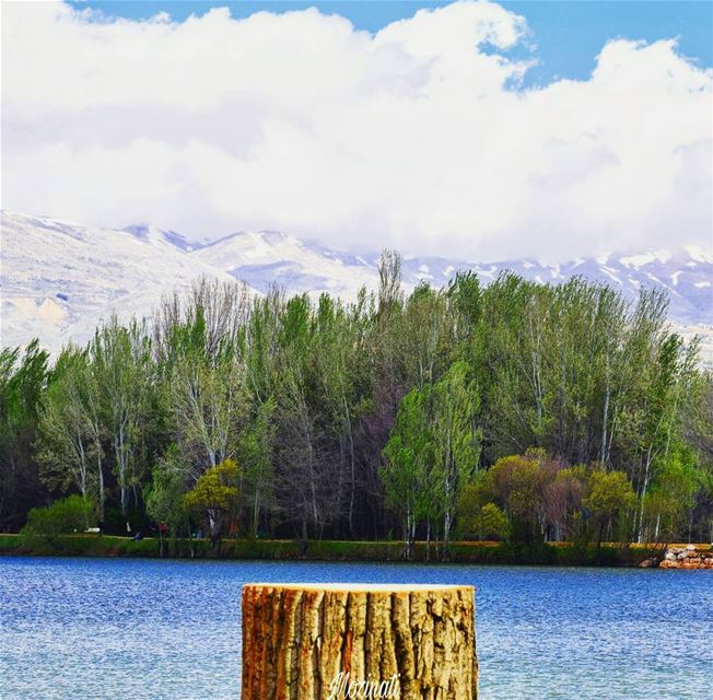  lake lakes forest forests mountains clouds snow trees naturelove... (Taanayel Lake)