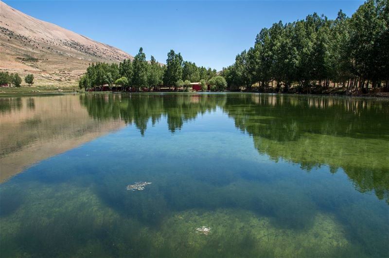 🌳🌳🌿..... lake nature natural trees clearwater water lagoon... (3youn Orghosh)