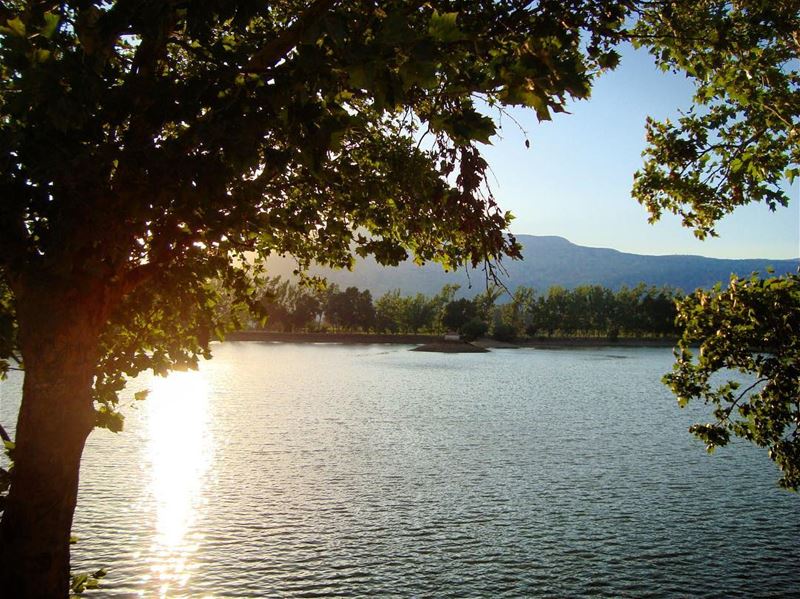 lake of fire .. lebanon  bekaa  lake  nature  natureza natura ... (Der Taanayel)