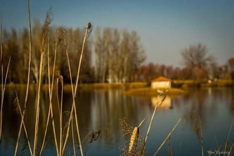  lake  taanayel  lebanon  bekaa  trees  house  reflection  grass  sky ... (Taanayel Lake)