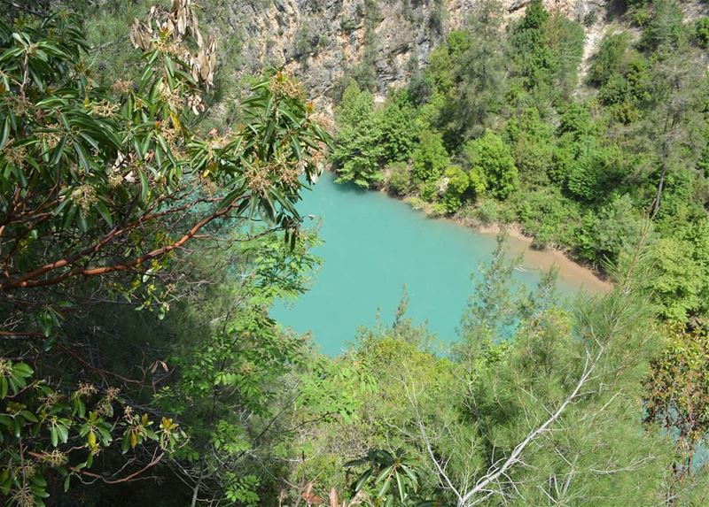Lake View I  loves_lebanon  super_lebanon   ig_lebanon  lebanonbyalocal ... (Chouwen)