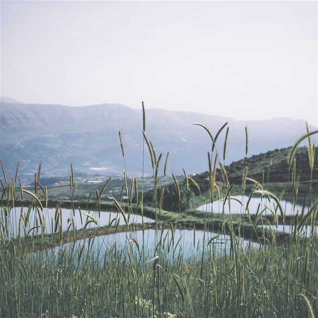 Lakes and Mountains🏞••• nakedplanet  theglobewanderer  roamtheplanet... (El Laqloûq, Mont-Liban, Lebanon)