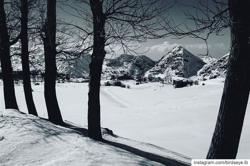 📍Laklouk, Lebanon..━ ━ ━ ━ ━ ━ ━ ━ ━ ━ ━ ━ ━ ━ ━ ━ ━ ━━ ━ ━ ━ ━ ━ ━ ━... (Laklouk)