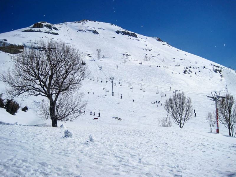  laklouk  lebanon  nature  naturelovers ...