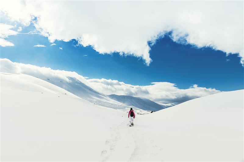 Land of clouds and snow. Location : El Arz, Lebanon  earthpix ... (El Arz, Liban-Nord, Lebanon)