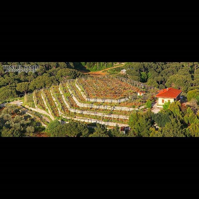  landscape landscape_lovers photooftheday photographysouls... (Mar Chaaya)