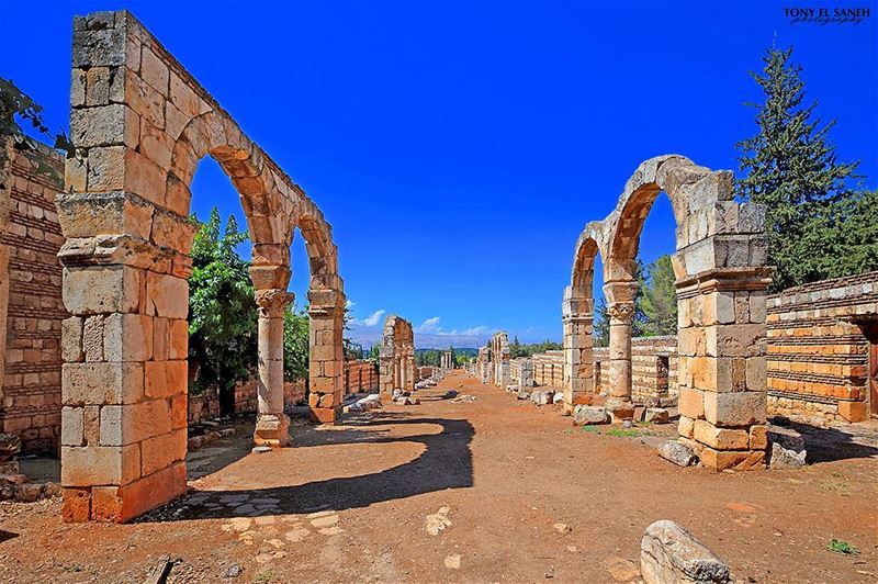  landscape  landscape_lovers  photooftheday  photographysouls ... (`Anjar, Béqaa, Lebanon)