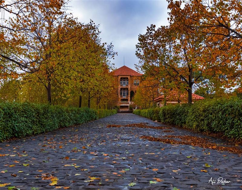 🍁🍁..... landscape landscapephotography photographer... (Sawfar, Mont-Liban, Lebanon)