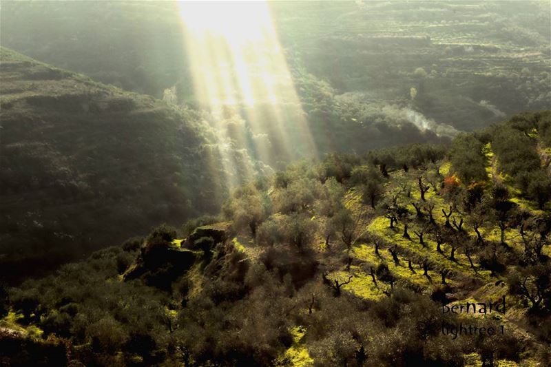  landscape  morning  sunshine  sunrays  trees  smoke  riseandshine ... (Karkha, Liban-Sud, Lebanon)