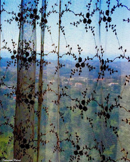  landscape  nature  colors  window ...