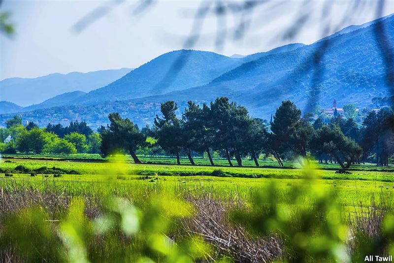 🏞 landscape nature   naturephotography  instaworld  instatravel ... (`Ammiq, Béqaa, Lebanon)