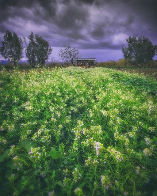  landscape naturelovers natureaddict grassland lebanon farm farmhouse...