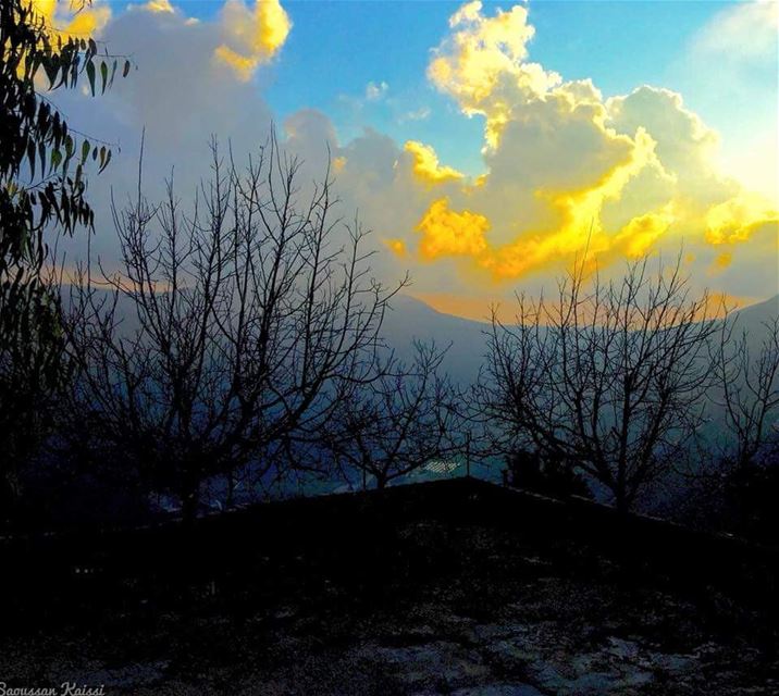  landscape   winter trees sky clouds colors lebanon...