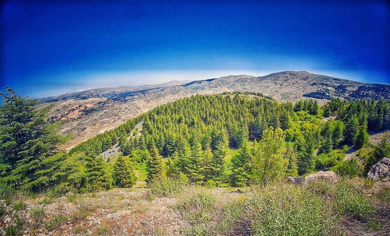  landscapephotography⛰ cedars  natureloversgallery  naturephotography ... (Bâroûk, Mont-Liban, Lebanon)