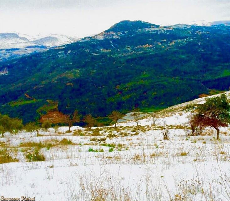  landscapephotography  winter  snow❄️  mountains  green  colors ...