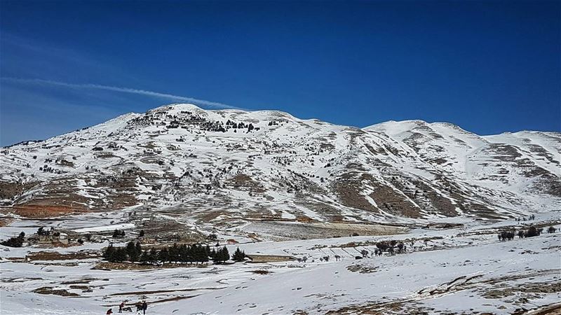 Landscapes from Lebanon   landscape  landscape_captures ... (Daher El Baydar)