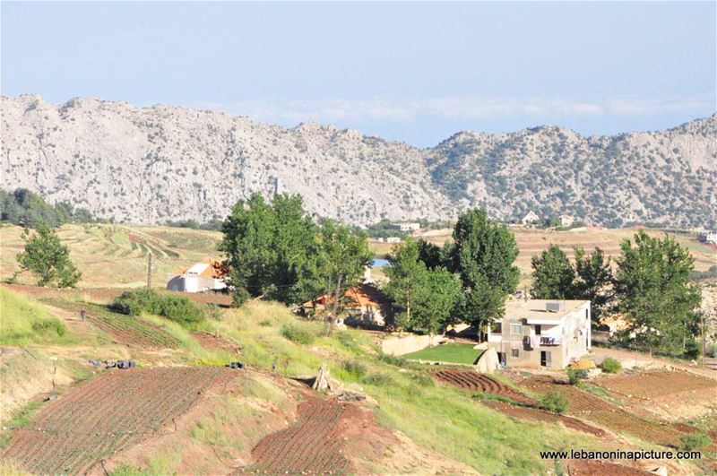 Laqlouq Cedars Army Marathon 2012