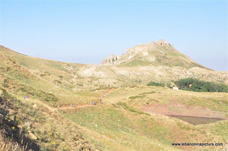 Laqlouq Cedars Army Marathon 2012