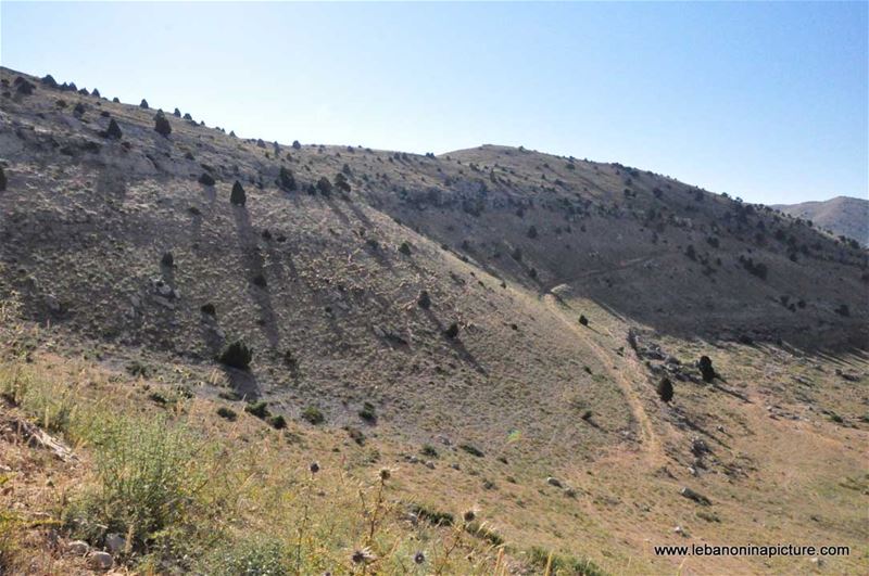 Laqlouq Cedars Army Marathon 2012