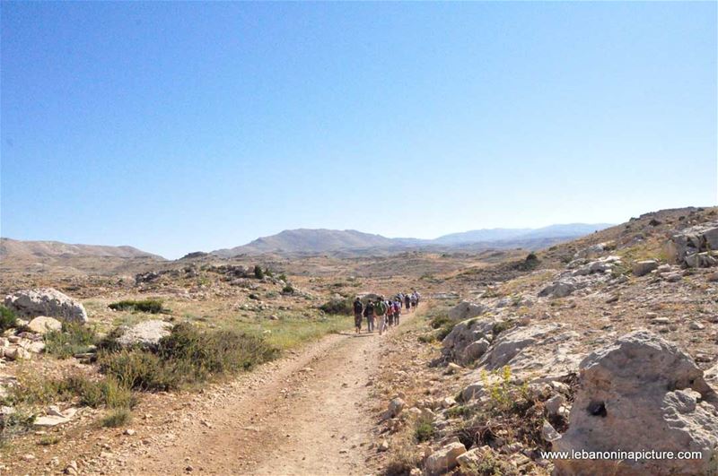 Laqlouq Cedars Army Marathon 2012