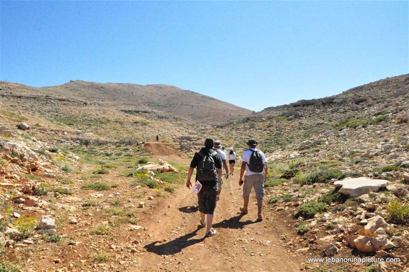 Laqlouq Cedars Army Marathon 2012