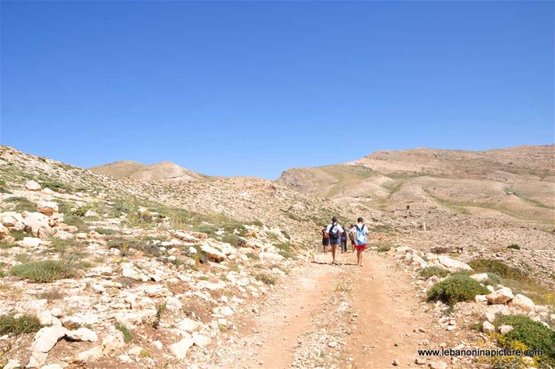 Laqlouq Cedars Army Marathon 2012