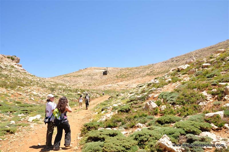 Laqlouq Cedars Army Marathon 2012