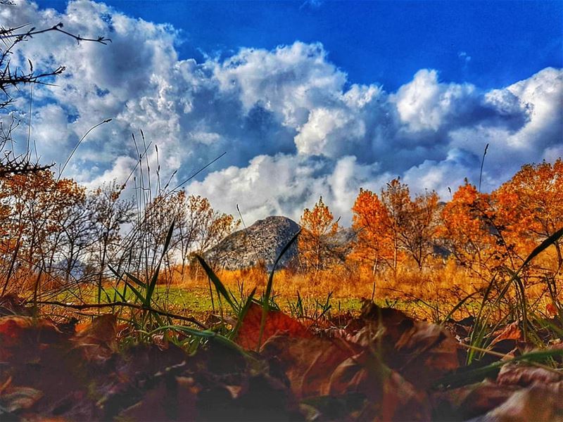 Last days of autumn  autum  fall  beautiful  colors  livelovebeirut ... (Jabal el Laqloûq)