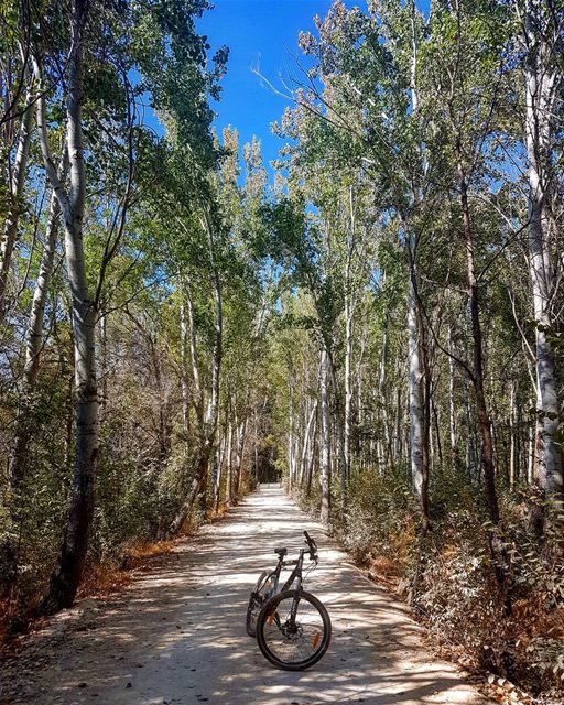 Late afternoon ride 🚴 taanayel  lebanon  middleeast  amazing  nature ... (Deïr Taanâyel, Béqaa, Lebanon)