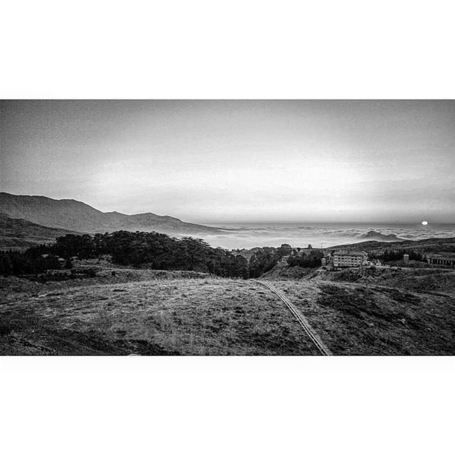 Later on U rise above the clouds. coulds  cedarsofgod  bcharre  bnw_life... (Cedars of God)
