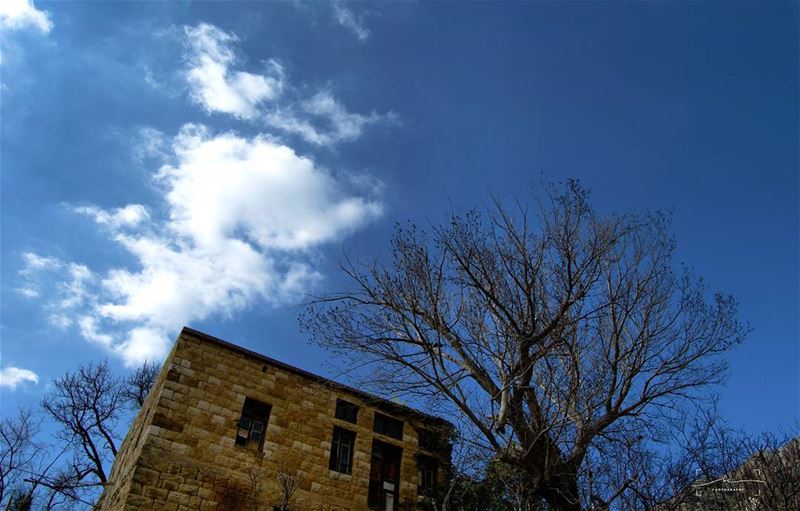 Lay down and look up ☀🌍 (Faraya, Mont-Liban, Lebanon)